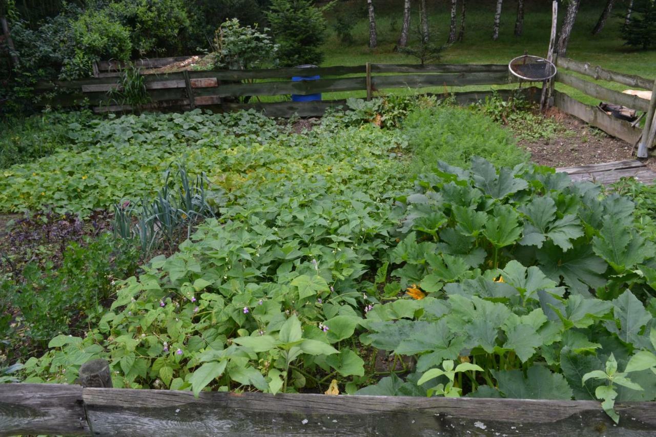 Agroturystyka Teosiowo بوبيدنا المظهر الخارجي الصورة